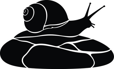 snail on a white background © SADIA