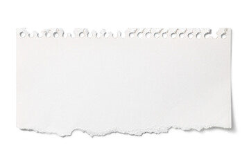 Obraz premium 引きちぎられた、ノートまたはスケッチブックの断片