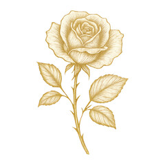 Naklejka premium PNG Elegant golden rose illustration