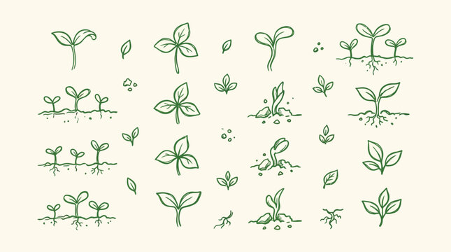 A collection of hand-drawn green seedling illustrations showing various stages of plant growth from germination to young sprouts emerging from soil.