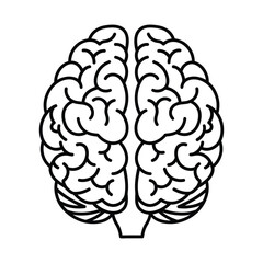 Fototapeta premium Human Brain Illustration in Black and White