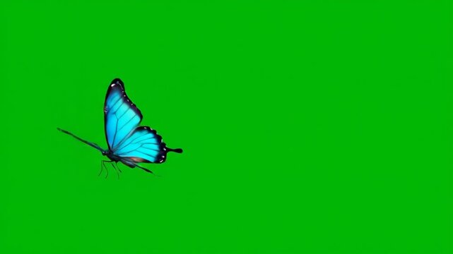 A stunning blue butterfly gracefully flutters its wings against a vibrant green background, showcasing nature's beauty and delicate flight