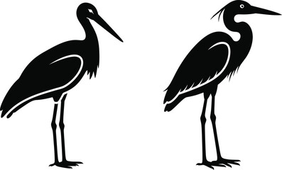 Obraz premium Two black and white illustrations of herons standing side by side
