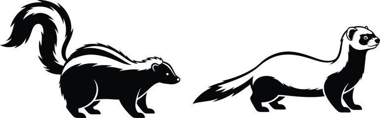 Obraz premium Two skunks standing in profile against a white background