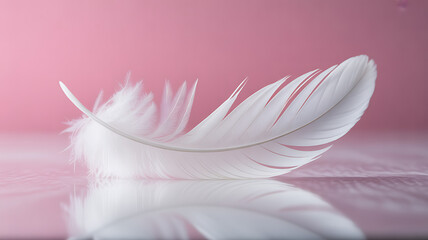 Obraz premium A single white feather resting on a reflective surface against a soft pink background