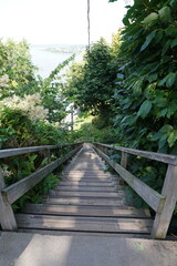 Obraz premium wooden bridge in the forest