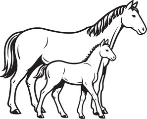 Obraz premium Horse And Foal Standing Side Together Black And White Line Art Illustration