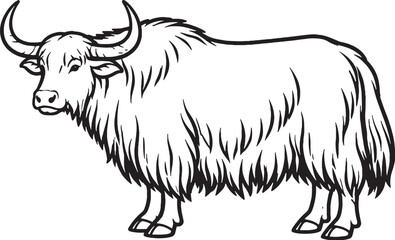Obraz premium Yak Standing Side Profile Thick Fur Black and White Line Art Illustration