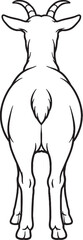 Goat Standing Rear View Short Tail Pose Black and White Line Art Illustration © Luu