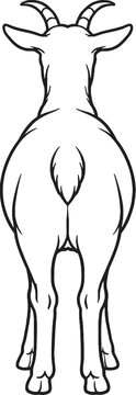 Goat Standing Rear View Short Tail Pose Black and White Line Art Illustration