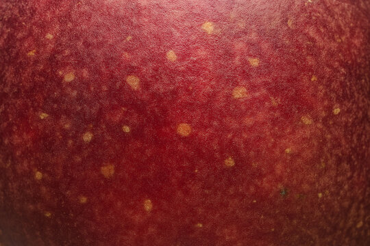 Extreme macro texture of dark red apple skin with natural yellow speckles.