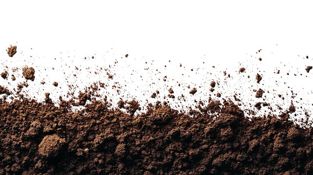 Close-up of dark brown soil against a stark black background, textured and crumbly