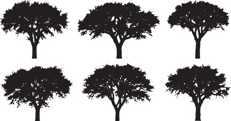 Fototapeta premium Black Solid Harvested Cork Oak Tree Silhouettes Set of Six on White Background
