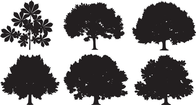 Black Solid Horse Chestnut Tree Silhouettes Set of Six on White Background