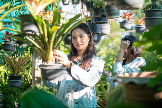 Young Woman Standing and Reaching Up to Touch a Hanging Potted Plant