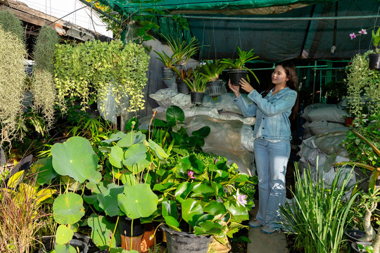 Young Woman Standing and Reaching Up to Touch a Hanging Potted Plant