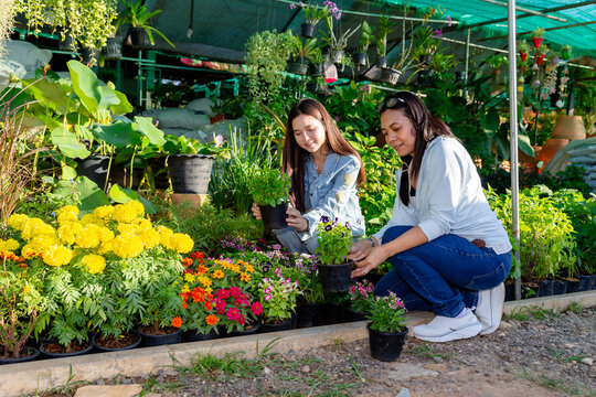 Young Woman Standing and Reaching Up to Touch a Hanging Potted Plant