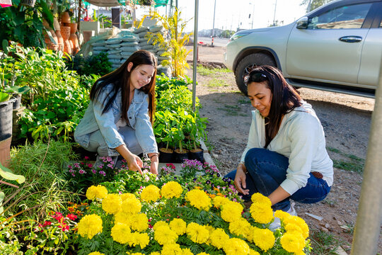 Young Woman Standing and Reaching Up to Touch a Hanging Potted Plant