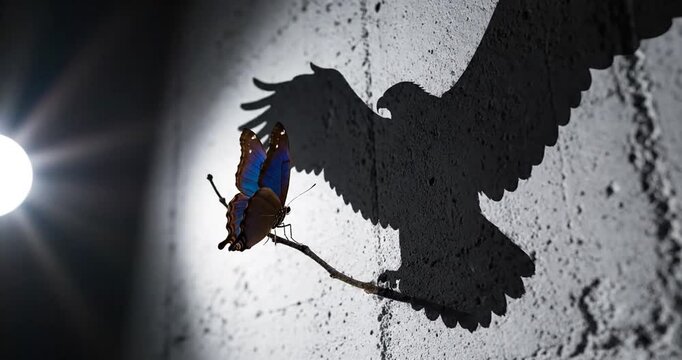A vibrant blue butterfly perched on a twig casting a shadow resembling a soaring eagle