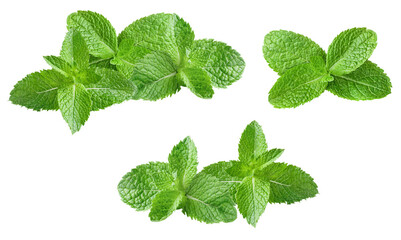 fresh green mint leaves, isolated on a transparent background for culinary and decorative uses, vibrant and aromatic. © Lee