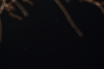 Las estrellas se ven mejor por la noche © Alexis Ayala