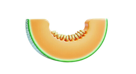Slice of Cantaloupe with Seeds