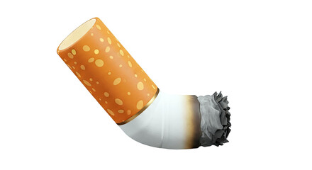 Single Cigarette Butt with Ash