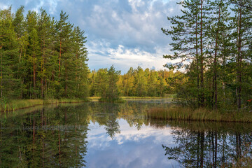 Fototapeta premium Walking route through the Sestroretskoye Boloto (Sestroretsk swamp) State Nature Reserve on a sunny summer day, Russia, Saint Petersburg, Kurortny District, Beloostrov