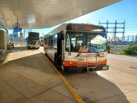 Public Transit Bus at Kipling Terminal in Toronto