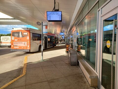 Kipling Bus Terminal Scene on a Sunny Day