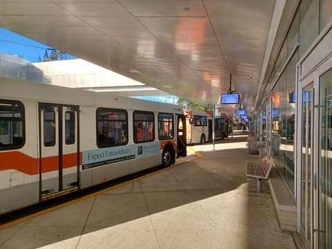 Buses Line Up at Kipling Bus Terminal