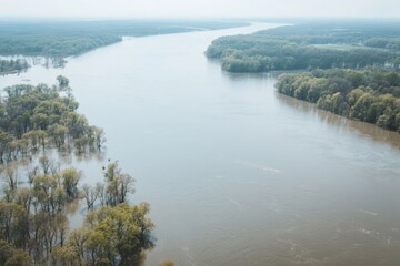 Fototapeta premium Aerial view of a wide river surrounded by dense forests and flooded tree areas