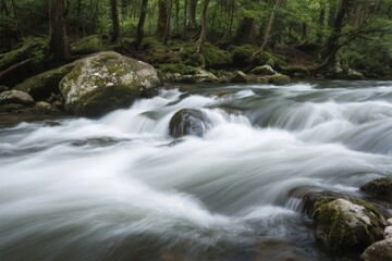 Fototapeta premium A flowing river with white water rapids surrounded by moss-covered rocks and dense forest