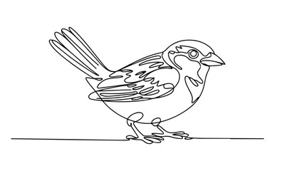 Fototapeta premium One continuous line illustration of an House sparrow bird , isolated on white background.