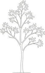 Obraz premium Minimalist black and white line art illustration depicting a delicate deciduous tree with many small leaves growing upwards
