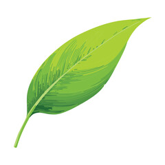 Fototapeta premium Simple elegant leaf illustration for botanical nature design and clean aesthetic garden themed graphic projects and art