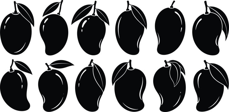 mango fruit silhouette icon set tropical mango collection fresh fruit symbol organic food vector isolated black mango illustration