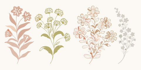 Fototapeta premium Botanical illustration of various wildflower arrangements in muted tones