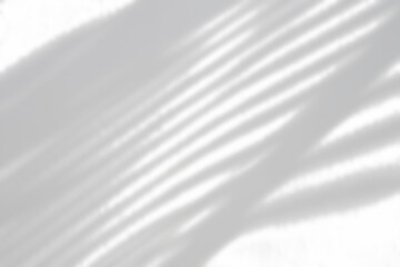 Obraz premium Abstract natural tree branch leaves shadow on white wall background