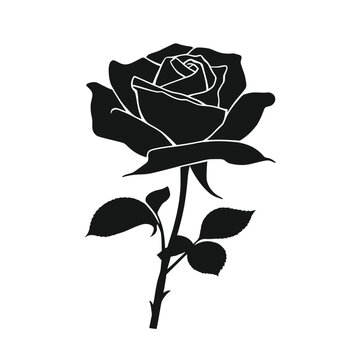 A vintage red rose vector illustration featuring a blooming flower bud and green leaf on a black background creates a nature inspired floral design perfect for art and ornament decoration