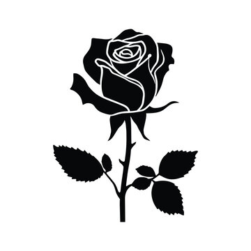 A vintage red rose vector illustration featuring a blooming flower bud and green leaf on a black background creates a nature inspired floral design perfect for art and ornament decoration