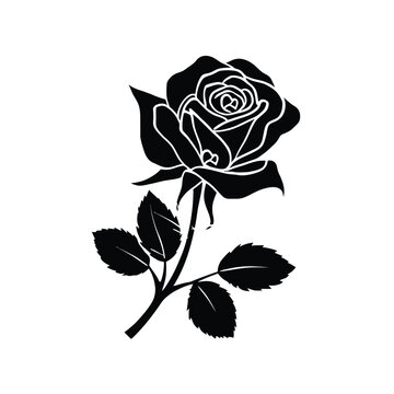A vintage red rose vector illustration featuring a blooming flower bud and green leaf on a black background creates a nature inspired floral design perfect for art and ornament decoration
