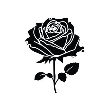 A vintage red rose vector illustration featuring a blooming flower bud and green leaf on a black background creates a nature inspired floral design perfect for art and ornament decoration