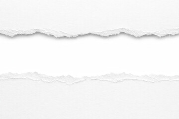 Clean White Torn Paper Edges with Copy Space