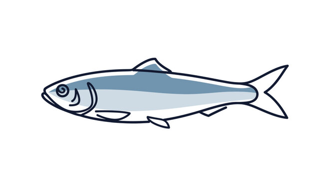 Illustration of a single herring fish, isolated on white background