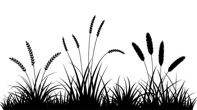 Set of 9 black silhouetted grass and cattail plants vector illustration isolated PNG with Transparent Background