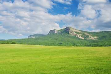 Wide vista of vibrant green fields and majestic mountain ranges, ideal for background for travel and environmental themes. © GIS