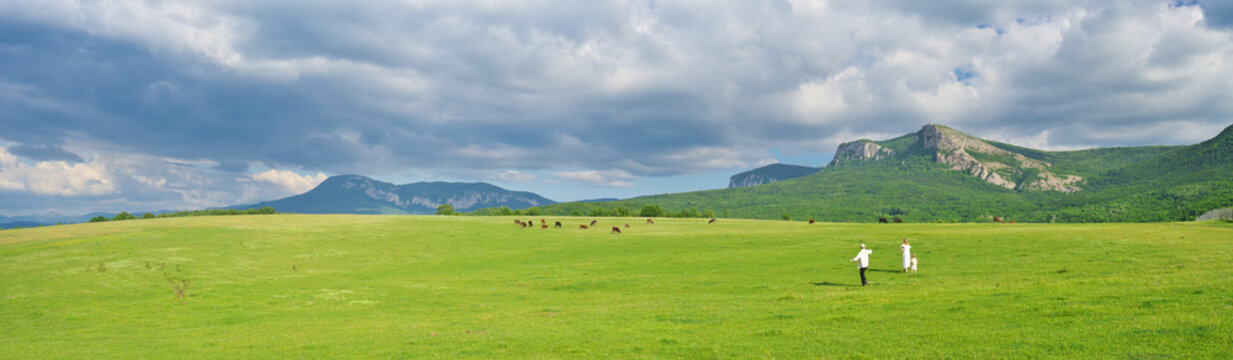 Peaceful rural landscape in mountain valley, featuring majestic ridges, vast green fields, and a sense of nature.
