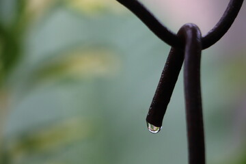 Empty Iron Hanger After Rain Waiting for the Sun for Natural Drying

Description : An image...
