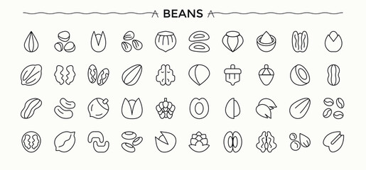 Beans icon set. Seed icon set. Contains outline symbols like healthy food, protein, food, nuts, seed and more. Art and illustration. © Rubbble
